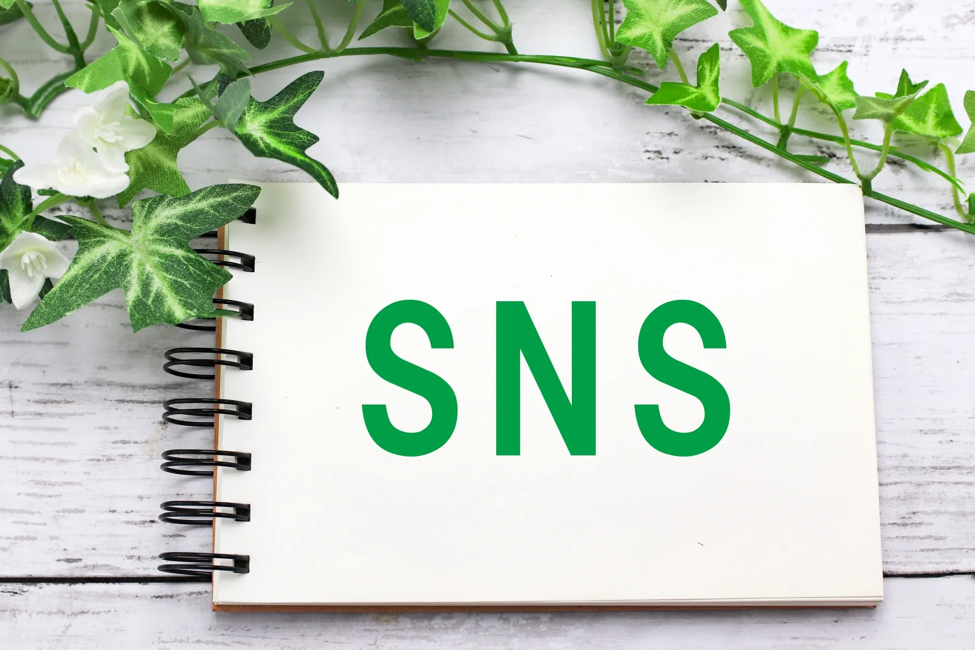 社内SNSを定着させるために何をすべき？コツやステップを徹底解説！