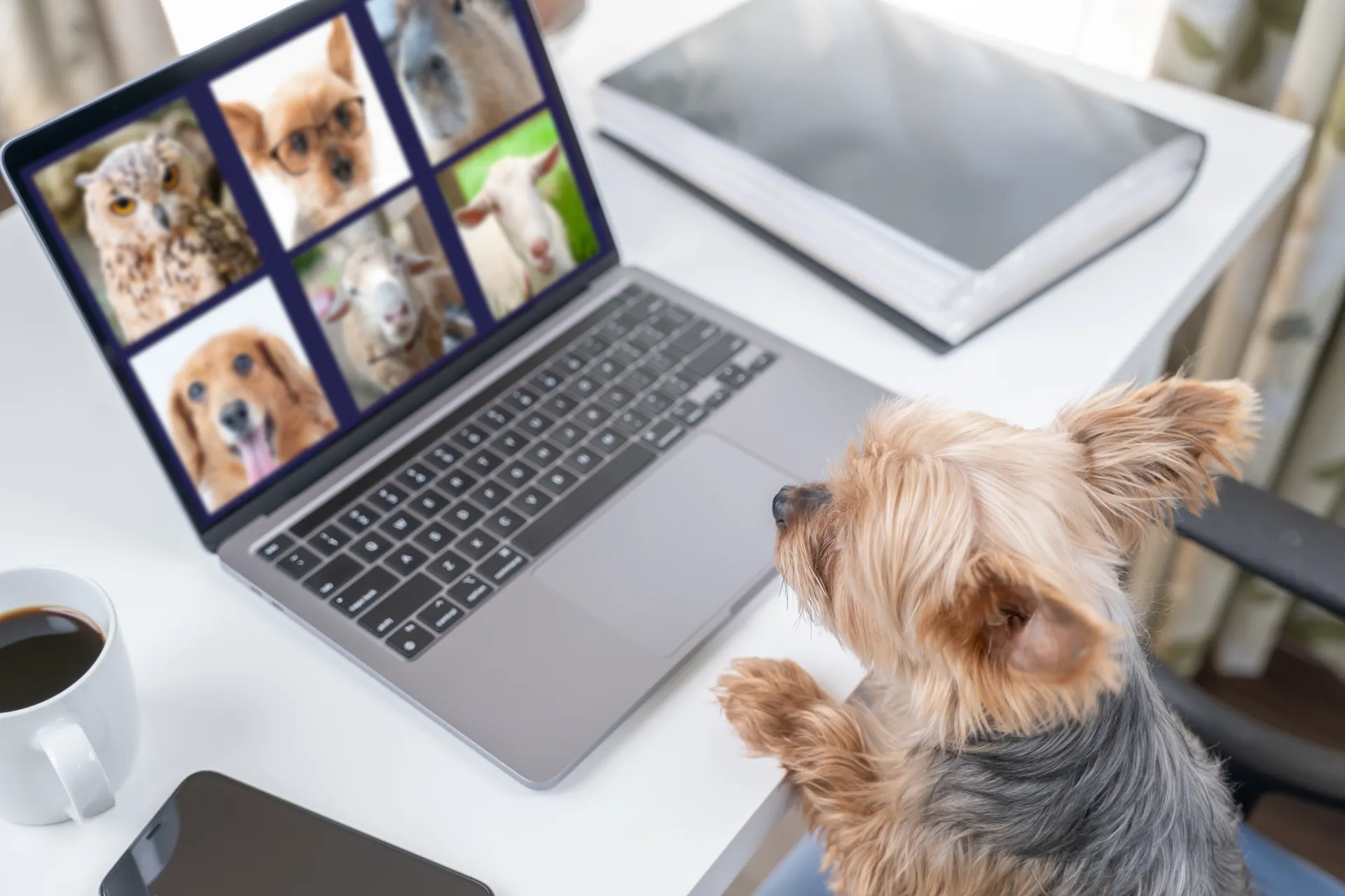 Webミーティングを開催する理由